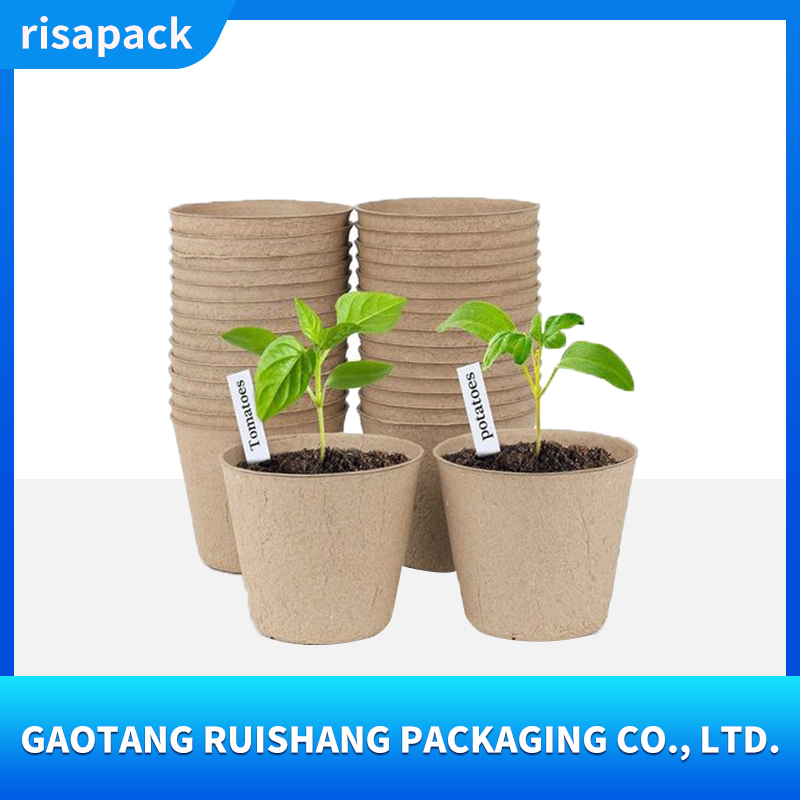 Round seedling cup